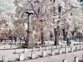 Infrared image of a cemetery