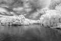 Infrared image of the Central Park