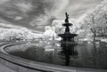 Infrared image of the Central Park Royalty Free Stock Photo