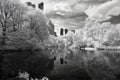 Infrared image of the Central Park Royalty Free Stock Photo