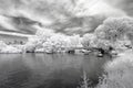 Infrared image of the Central Park Royalty Free Stock Photo