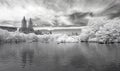 Infrared image of the Central Park Royalty Free Stock Photo