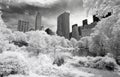 Infrared image of the Central Park Royalty Free Stock Photo