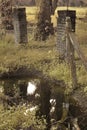 image of a drainage stream along the plantation pathway. Royalty Free Stock Photo