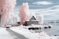 an infrared image of a house on the shore of a lake