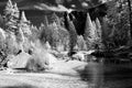 Merced River Yosemite Valley Royalty Free Stock Photo