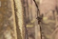 the old rusty wasting barb-wired on the concrete pole Royalty Free Stock Photo