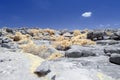 Rock strewn landscape at midday