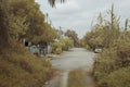 Foliage around the suburban residence