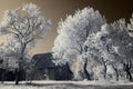 Infrared landscape