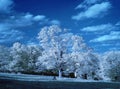 Infrared Landscape