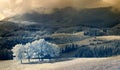 Infrared landscape