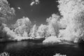 Infrared Landscape Royalty Free Stock Photo