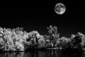 Full moon Palm Lagoon in Infrared