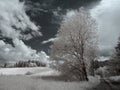 Infrared orava landscapes Royalty Free Stock Photo
