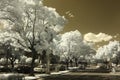 Infrared photo of a city