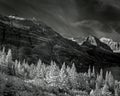 Infrared of cliffs at Glacier National Park