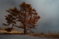 Infrared Photo of Foggy Afternoon At Big Sur