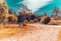 Infrared photo of a landscape with ground, trees and sky Royalty Free Stock Photo