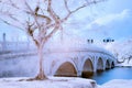 Infrared Photo of Tree and Bridge Royalty Free Stock Photo