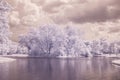 Infrared photo Trees and grass in Public park with pond