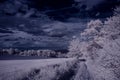 Infrared photography - ir photo of landscape with tree under sky with clouds - the art of our world and plants in the infrared cam Royalty Free Stock Photo