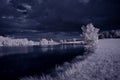 Infrared photography - ir photo of landscape with tree under sky with clouds - the art of our world and plants in the infrared cam Royalty Free Stock Photo