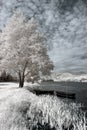 Infrared river boats Royalty Free Stock Photo