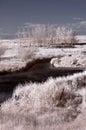 Infrared river Royalty Free Stock Photo