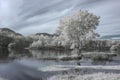 Infrared river landscape Royalty Free Stock Photo