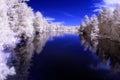 Infrared River Royalty Free Stock Photo