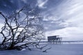 Infrared of house standing alone on beach Royalty Free Stock Photo