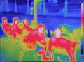 Infrared thermovision image showing when People sit at the table