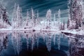 Infrared trees reflecting in a mountain pond Royalty Free Stock Photo