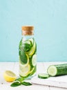 Infused detox water with cucumber, lemon and mint Royalty Free Stock Photo