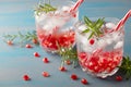 Infused pomegranate water with ice, cold refreshing and detox drink Royalty Free Stock Photo