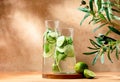 Infused water with cucumber and basil Royalty Free Stock Photo