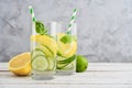 Infused water with cucumber, lemon, lime and basil Royalty Free Stock Photo