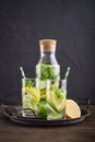 Infused water with cucumber, lemon, lime and basil Royalty Free Stock Photo