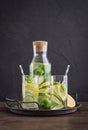 Infused water with cucumber, lemon, lime and basil Royalty Free Stock Photo