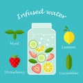 Infused water fruit recipe illustration vector