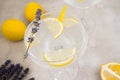 Infused water with ice and lemon in a glass stands on a gray concrete background. The glass is decorated with a sprig of lavender Royalty Free Stock Photo