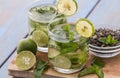 Infused water mix of green tea, lime and mint leaf Royalty Free Stock Photo