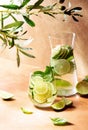 Infused water for summer rehydratation Royalty Free Stock Photo