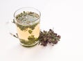 Infusion of oregano