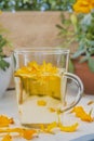 The infusion of the petals Tagetes Royalty Free Stock Photo