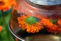 Infusion, tea and decoction of flowers of calendula - health drink