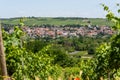 Ingelheim, Rhein, Germany during summertime Royalty Free Stock Photo