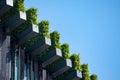 Dusseldorf - Facade in style of Land Art by Christoph Ingenhoven on Koe Bogen II. Hornbeam hedges style three facades and roof.