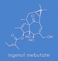 ingenol mebutate ingenol-3-angelate actinic keratosis treatment drug molecule. Skeletal formula.